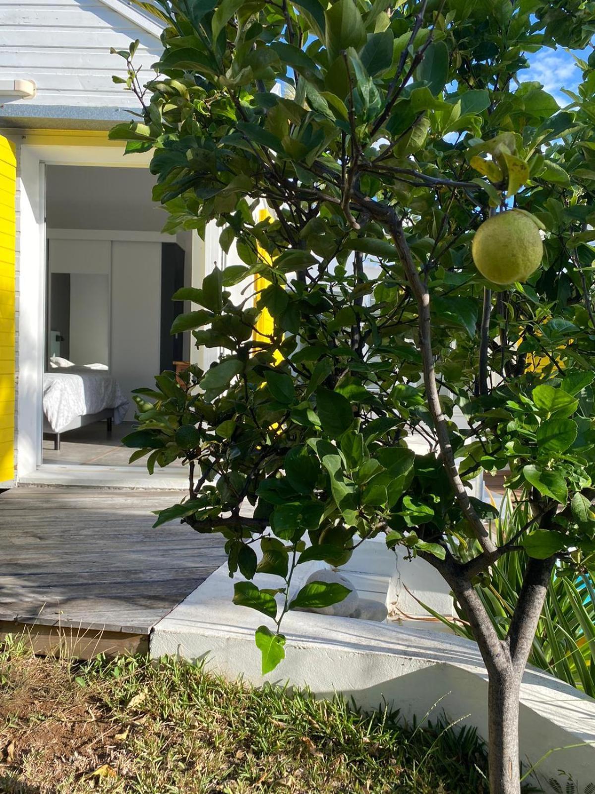 Villa Ylang Saint-Gilles-les Bains Esterno foto
